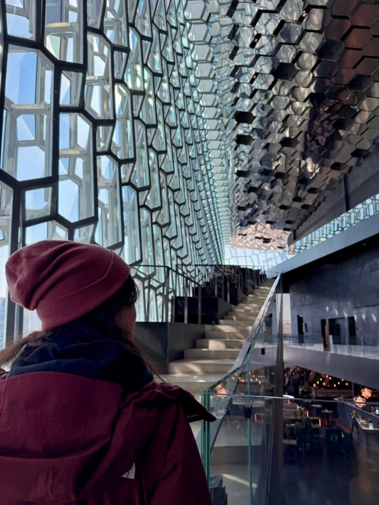 Image of a back of a woman looking inside a glass building