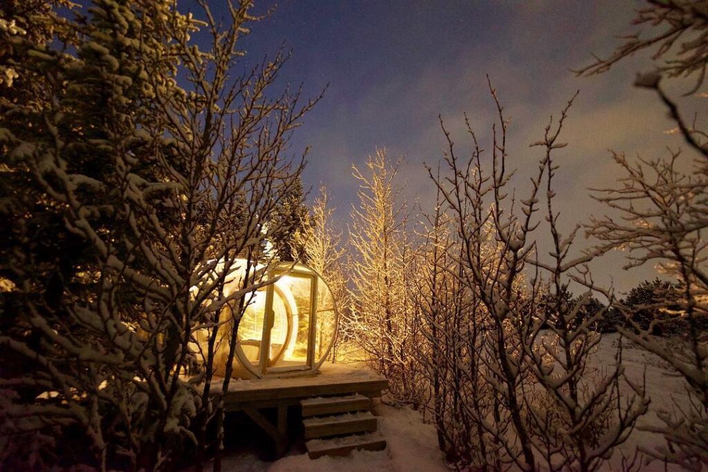 Image of snow and trees with an illuminated bubble tent