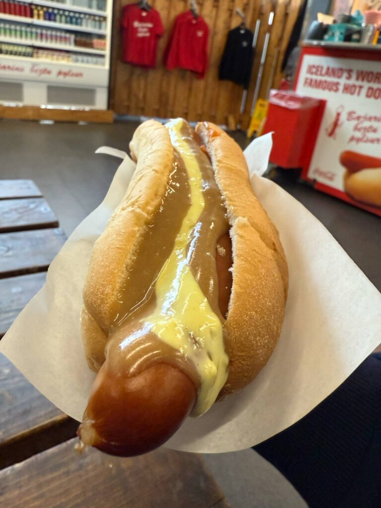 Image of a hot dog